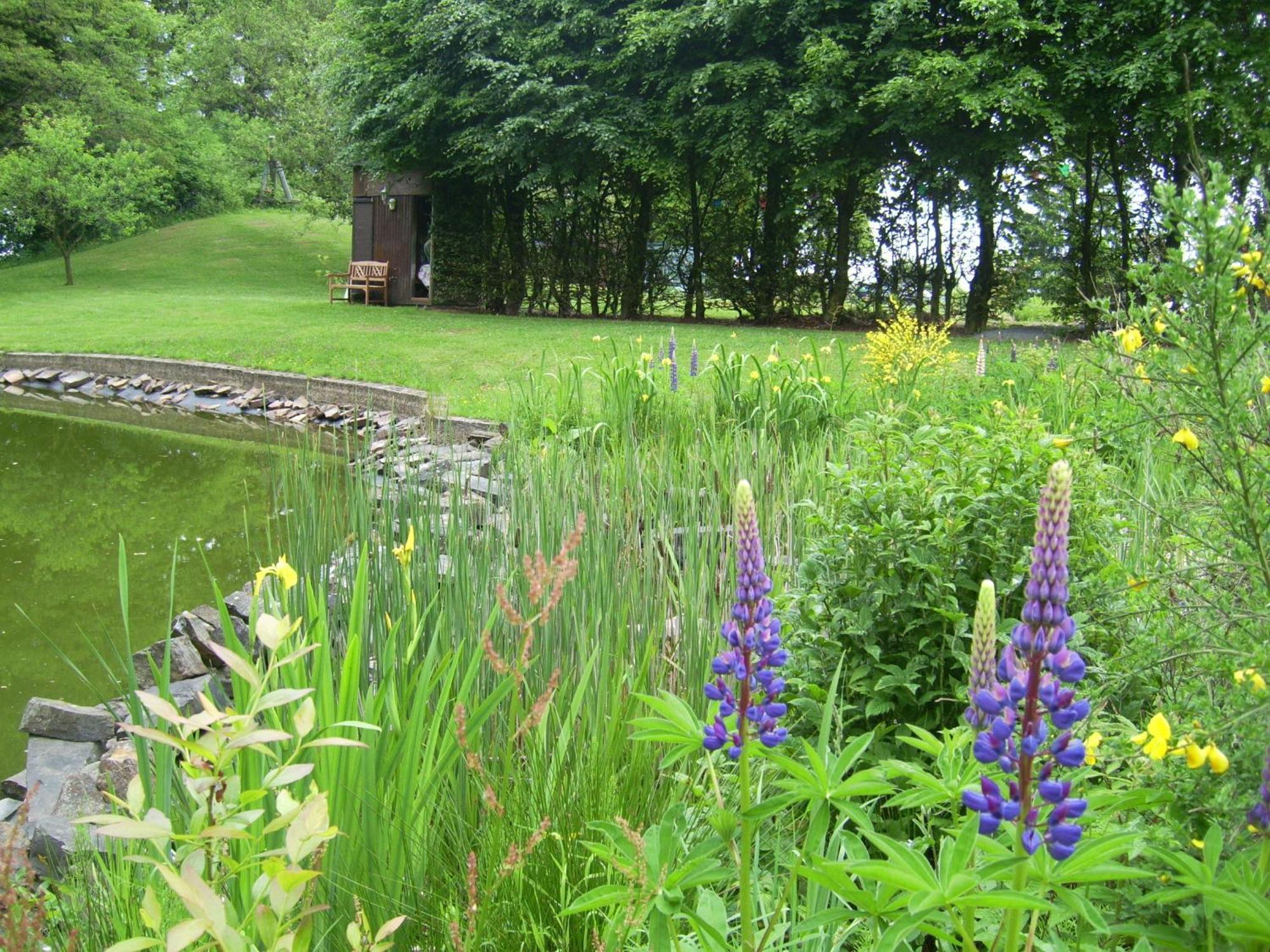 هيلينثال Farm Stay Heidehof المظهر الخارجي الصورة