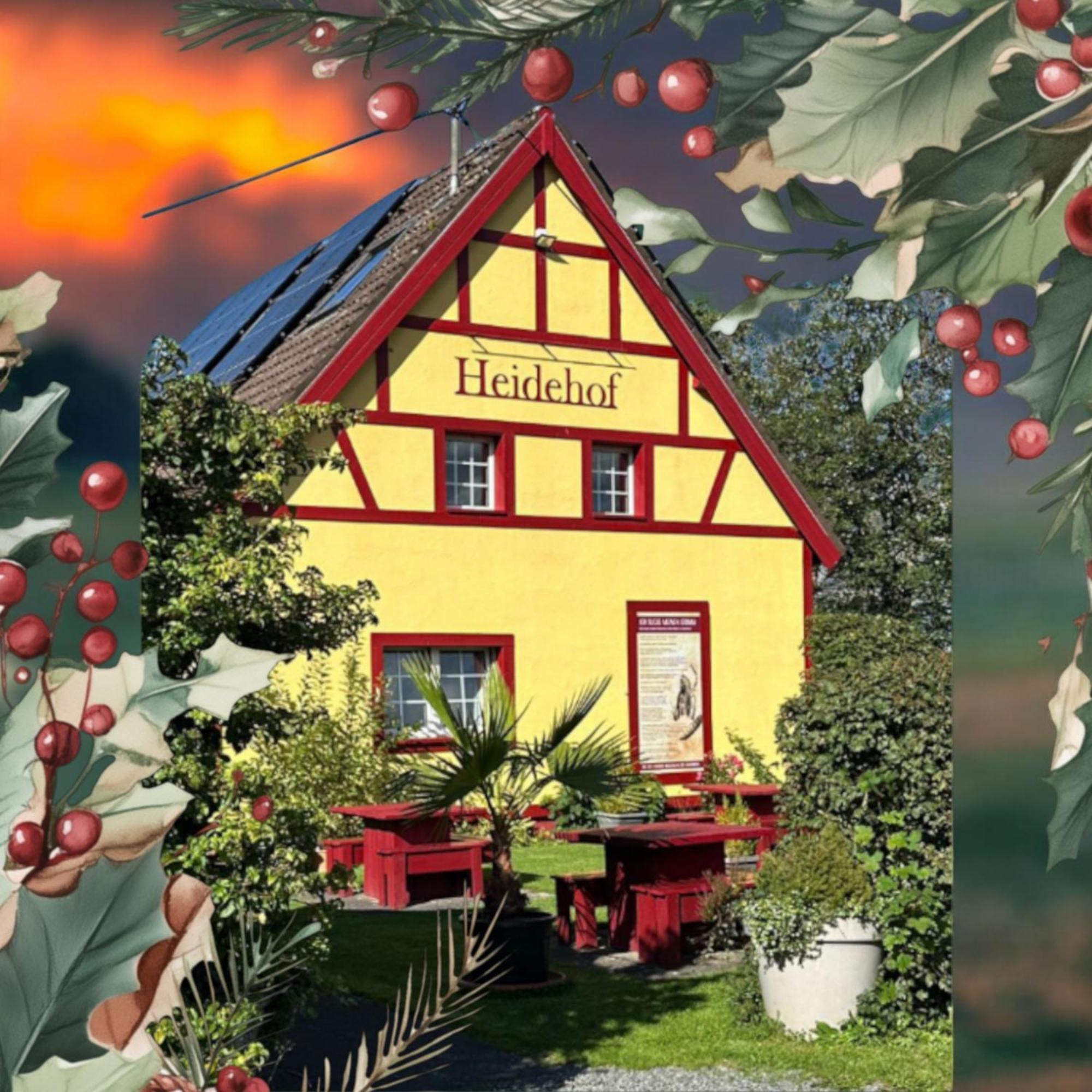 فيلا Heidehof هيلينثال المظهر الخارجي الصورة